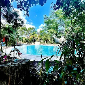 Tequila Cancun Hotel